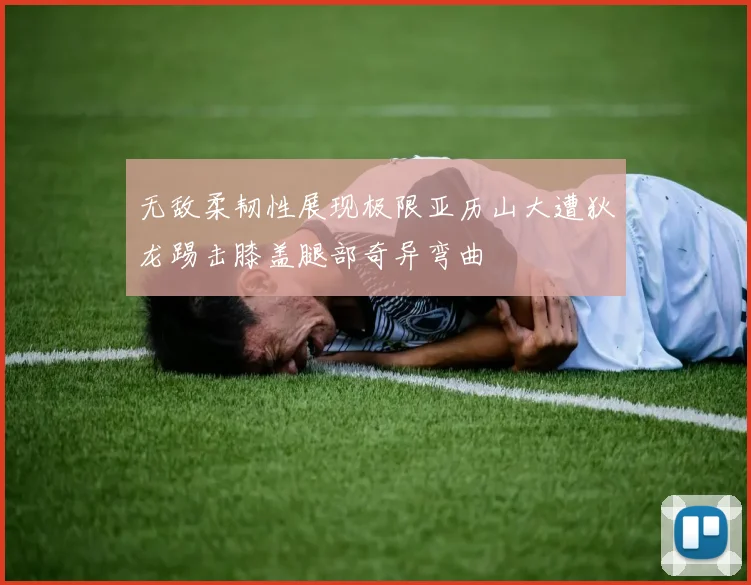无敌柔韧性展现极限亚历山大遭狄龙踢击膝盖腿部奇异弯曲
