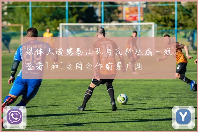 媒体人透露泰山队与瓦科达成一致签署1加1合同合作前景广阔