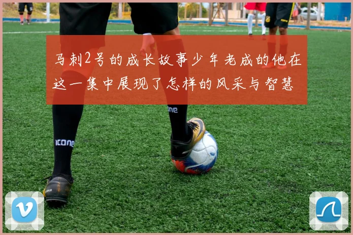 马刺2号的成长故事少年老成的他在这一集中展现了怎样的风采与智慧